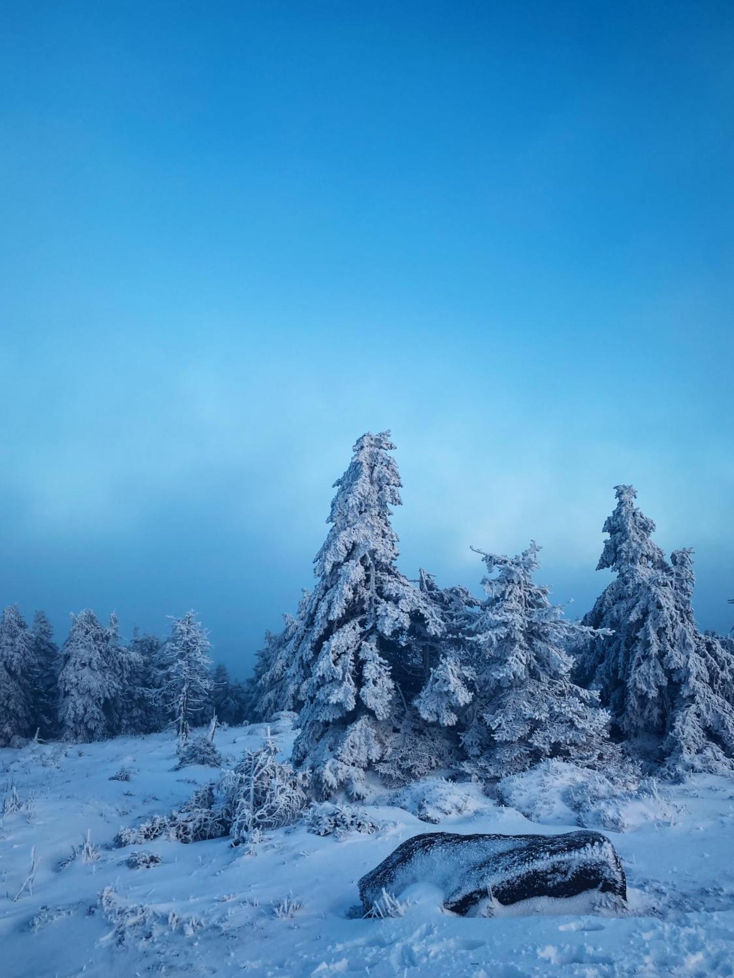 Ferienwohnungen Hexenstieg & Wurmbergblick Schierke Exteriér fotografie